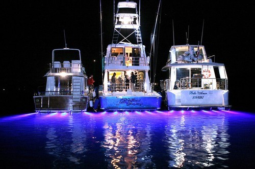 An Aqualuma lineup always looks sensational. © Jeni Bone